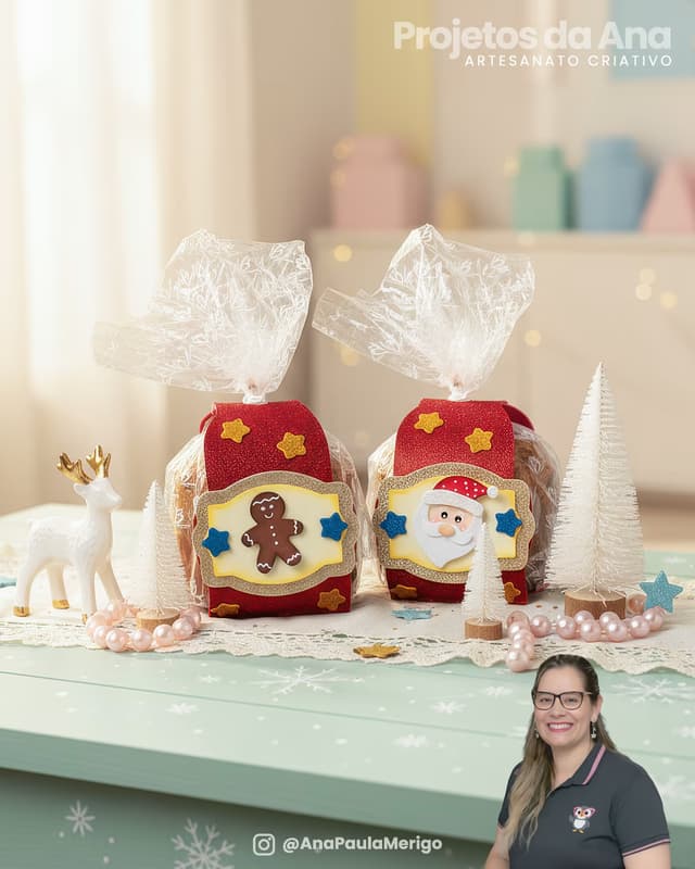 Capa do projeto Porta Panetone - Papai Noel e Ginger